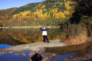 tai chi move against golden woodland