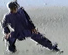 8 brocades graphic 8 brocades graphic