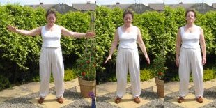 qigong exercise flying like an eagle qigong exercise flying like an eagle