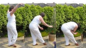 a qigong movement for backs a qigong movement for backs
