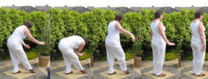 home qigong  exercise- - gazing backwards at the moon