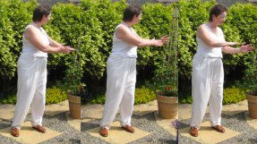 chi gung exercise - autumn breeze blows the leaves