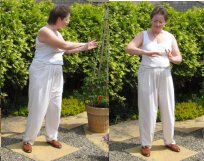 chi gung exercise - autumn breeze blows the leaves