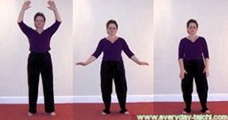 18 movements shibashi