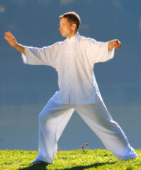tai chi chuan single whip graphic tai chi chuan single whip graphic