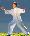 single whip taichi 24 move single whip