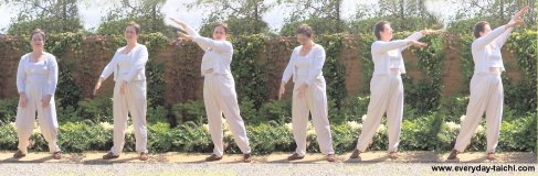qigong exercise wild goose looks for food qigong exercise wild goose looks for food