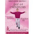 wild goose set 1 disc graphic wild goose set 1 disc graphic