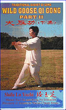 wild goose 2 with yuzhi wild goose 2 with yuzhi