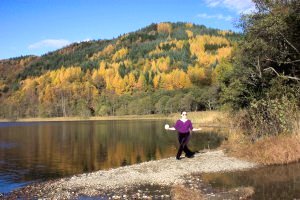 tai chi ball against golden woodland