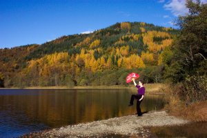 tai chi fan against golden woodland