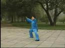 sample chen tai chi video clip