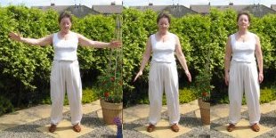 qigong exercise flying like an eagle