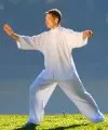 short yang form - single whip