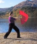 tai chi fan posture