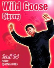 Wild Goose Qigong: 2nd 64 Part 1